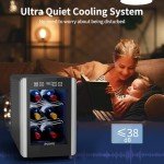 Digital 6-Bottle Wine Cooler with Glass Door