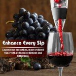 Premium Red Wine Aerator with Stand and Filter