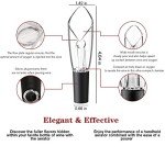Wine Aerator & Pourer Set for Enthusiasts