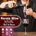 Premium Red Wine Aerator with Stand and Filter