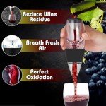 Premium Red Wine Aerator with Stand and Filter