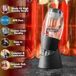 Premium Red Wine Aerator with Stand and Filter
