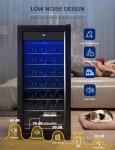 GarveeHome 32-Bottle Wine and Beverage Cooler