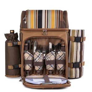 Wine Picnic Backpack Cooler for 4 with Accessories