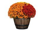 Wine Barrel Planter - Durable Faux Wood Pot