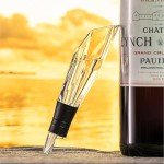 Premium Wine Aerator Pourer - Perfect Gift for Enthusiasts