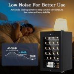 24-Bottle Ultra-Quiet Wine Cooler with Lock