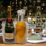 Chilled Wine Bottle Opener and Decanter Set