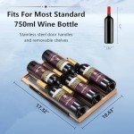 15-Inch Dual Zone Wine Cooler Mini Fridge