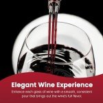 Multi-Stream Wine Aerator with Gift Case