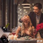 Electric Wine Chiller - Stainless Steel Single Bottle