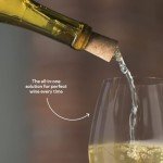 Corkcicle Air Wine Chiller & Aerator Gift