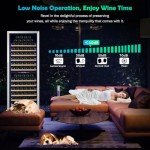 ORYMUSE 200 Bottle Dual Zone Wine Cooler