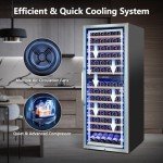 Dual Zone Wine Cooler for 154 Bottles