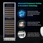 ORYMUSE 200 Bottle Dual Zone Wine Cooler