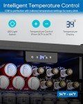 Compact Glass-Door Beverage Fridge for Wine & Beer