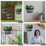 12-Pc Distressed Oak Wine Barrel Planters