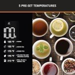 KRUPS Smart Temp Electric Kettle for Coffee and Tea