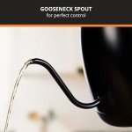 KRUPS 1L Gooseneck Electric Kettle with Temperature Control