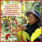 Mount Hagen Organic Instant Coffee Packets - 25 Count