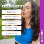 Zantrex Berry Fusion Energy & Weight Loss Powder