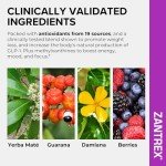 Zantrex Berry Fusion Energy & Weight Loss Powder
