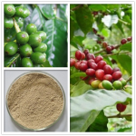 Green Coffee Bean Extract Supplement for Weight Loss