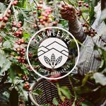 Verve Coffee Seabright House Blend, Medium Roast 12oz