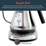 COSORI Electric Gooseneck Kettle with 5 Presets