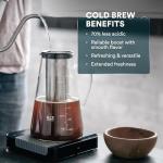 Airtight Cold Brew Coffee Maker with Infuser