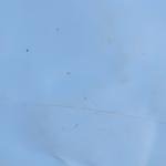 Breville Barista Pro Stainless Steel Espresso Maker