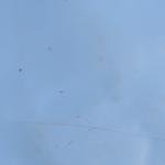 Breville Barista Pro Stainless Steel Espresso Maker