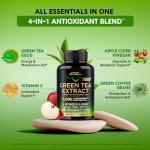 Green Tea Extract with Coffee & Apple Cider Capsules