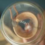 Chemex 6-Cup Pour Over Coffee Maker with Lid