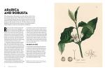 Coffee Atlas: Explore Beans to Brewing