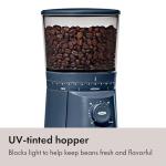 OXO Conical Coffee Grinder - Storm Blue