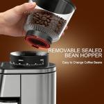 Electric Stainless Steel Burr Coffee Grinder with Timer