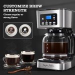 Taylor Swoden 12-Cup Programmable Coffee Maker