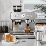 Kismile 20 Bar Espresso Machine with Grinder