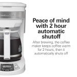 Hamilton Beach 12-Cup Programmable Coffee Maker