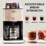 Kenmore Elite 12-Cup Programmable Coffee Maker