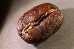 100% Kona Hawaiian Peaberry Coffee Beans, Medium Roast