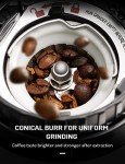 TWOMEOW Electric Conical Burr Coffee Grinder