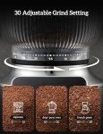 Neretva 2-in-1 Electric Burr Coffee Grinder
