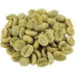 Fresh Roast SR-540 Automatic Coffee Roaster