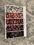Behmor® 2000AB Plus Coffee Roaster Bundle