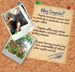100% Hawaiian Kona Coffee Beans, Medium Roast 2lb