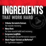 Animal Stak – Natural Hormone Booster for Athletes