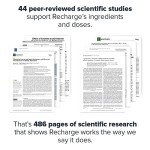 Legion Recharge Post Workout Drink - Strawberry Lemonade