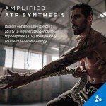 MuscleTech Cell-Tech Creactor Creatine Powder - Unflavored